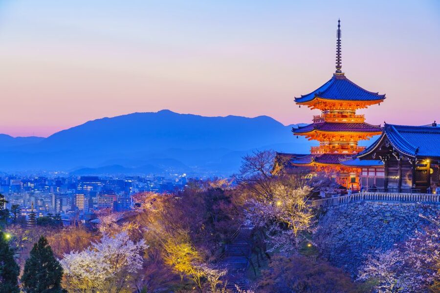 Higashiyama | Kyoto: Sakura Season Private Rickshaw Tour - How private is the private rickshaw?