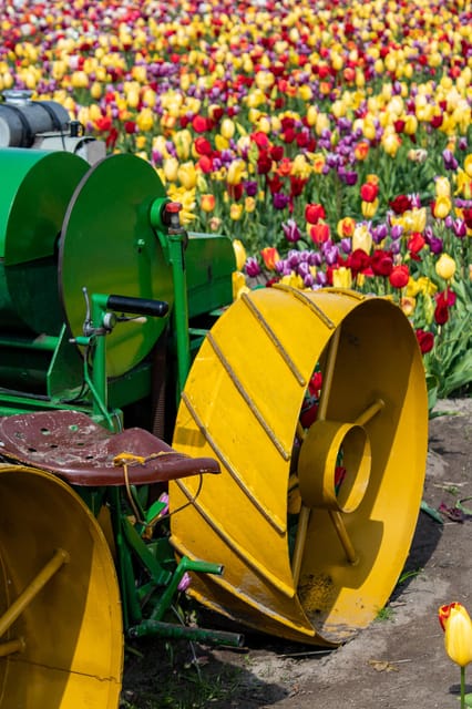 Hillegom: Tulip Barn Entry Ticket - How it compares with a visit to Keukenhof