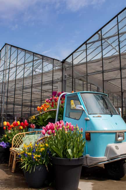 Hillegom: Tulip Barn Entry Ticket - Should you book The Tulip Barn?