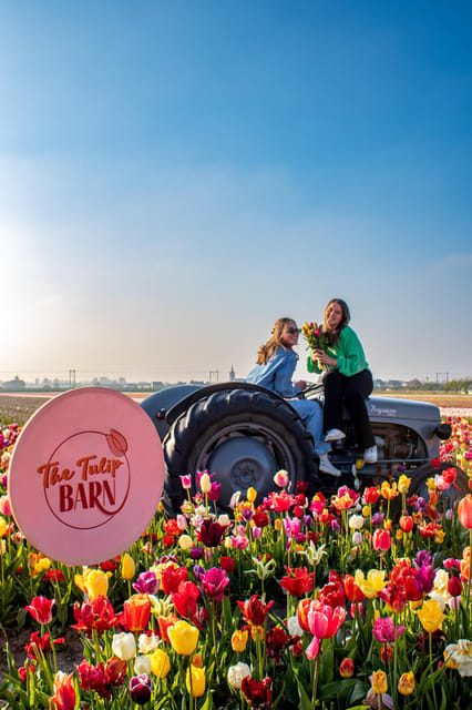 Hillegom: Tulip Barn Entry Ticket - The greenhouse café and sunny terrace