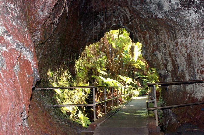 Hilo Shore Excursion: Active Volcano, Lava Tube, Waterfall and Gardens - Walking through Nahuku, the Thurston Lava Tube