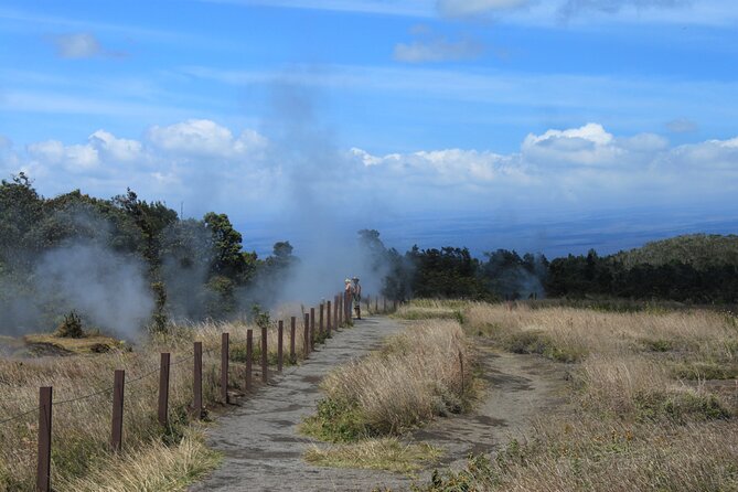 Hilo Shore Excursion: Active Volcano, Lava Tube, Waterfall and Gardens - Price, group size, and pickup details