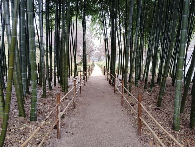 Hiroshima: Shukkei-en Garden with local guide 90min - Who should book this garden walk?
