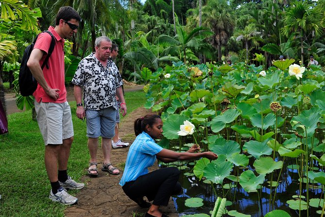 Historical Private Guided Tour, City-SugarWorld-Botanical Garden - Min.2 persons - Is $179.49 per person good value?
