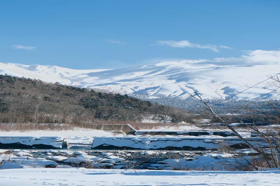 Hokkaido Lavender farm & Furano Flower Tour from Sapporo - Lunch in Furano and the meal-package choice