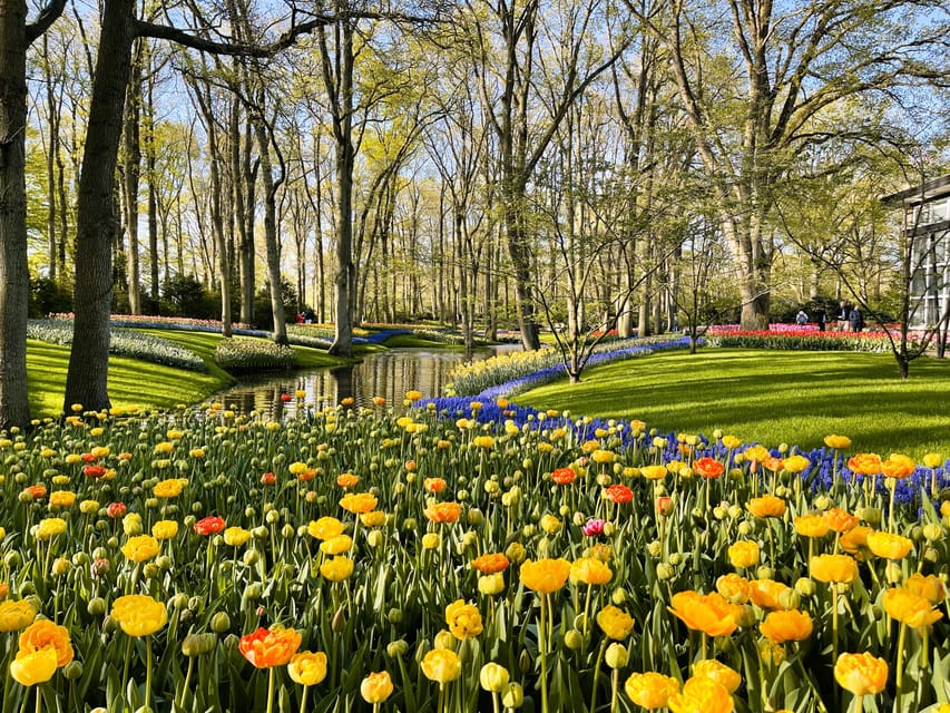 Holland: Tulips & Windmills – Private Tour by Car or Van - Why this day works well from Amsterdam