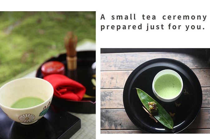 Home Experience: Tea Ceremony & Moss Garden Walk(Day trip) - The moss garden and Japan’s quiet plant culture