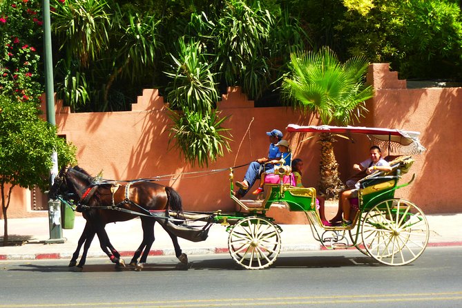 Horse and Carriage Ride with Majorelle Garden - Who should book this Marrakech outing?
