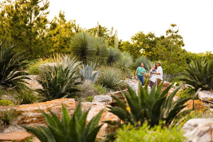 Houston: Houston Botanic Garden Entry Ticket - Pine Grove and the garden’s natural sounds