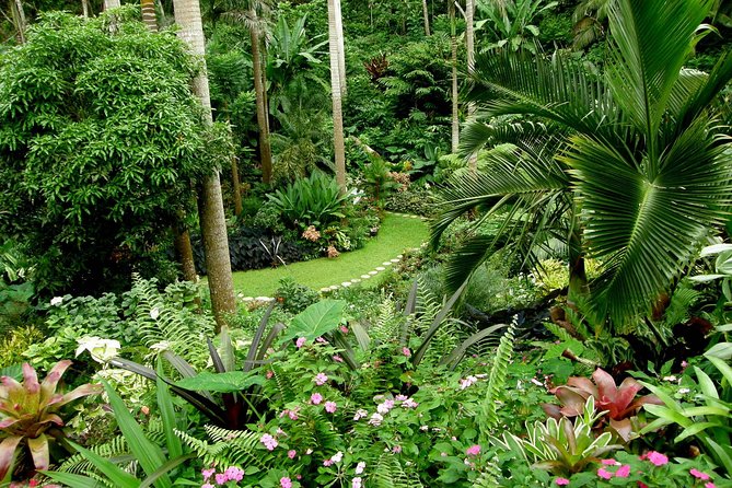 Hunte's Garden and St Nicholas Abbey small group Barbados tour - Key points to know before booking