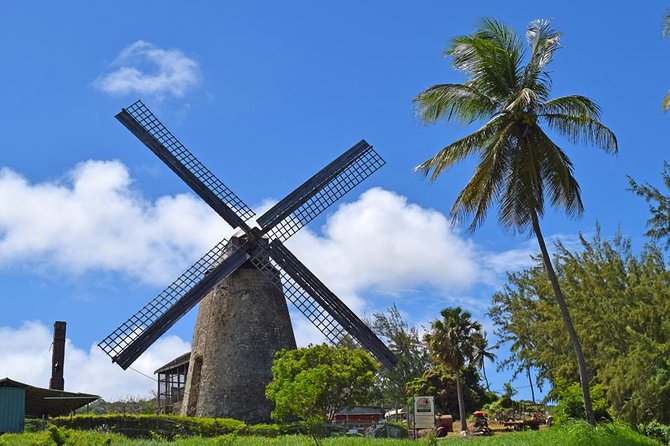 Hunte's Garden and St Nicholas Abbey small group Barbados tour - Hunte’s Garden gives the tour its special character