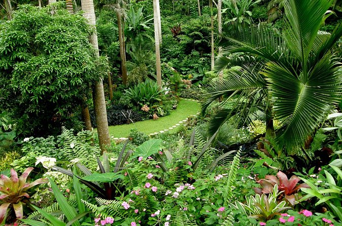 Hunte's Garden and St Nicholas Abbey small group Barbados tour - Lunch, drinks, and the $155 price