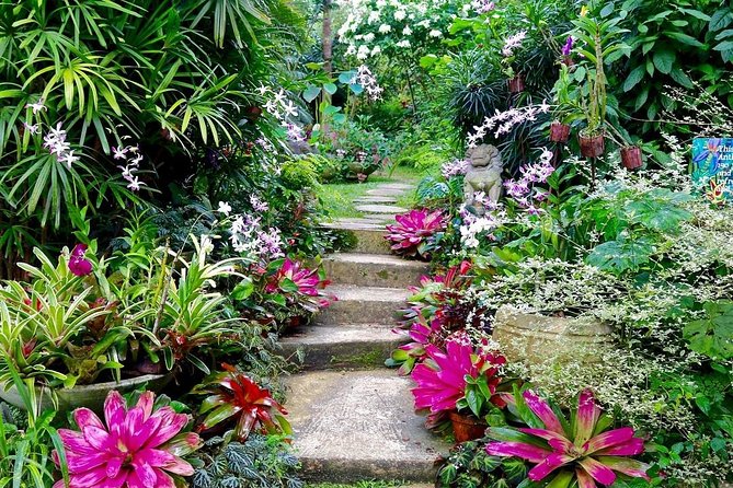 Hunte's Gardens - Why Hunte’s Gardens feels different from a standard botanical garden