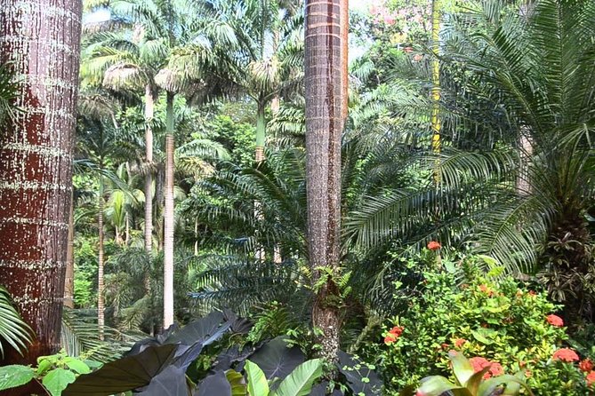 Hunte's Gardens - The house, veranda, café, and possible refreshments