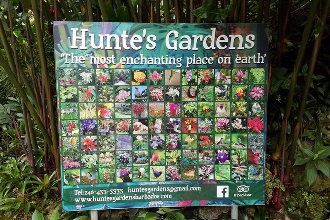 Hunte's Gardens - What the $116.44 price really buys you
