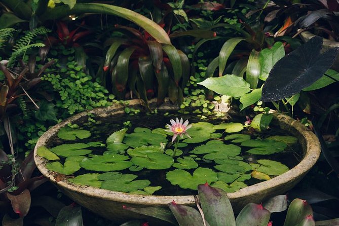 Hunte's Gardens - How long you really need at Hunte’s Gardens