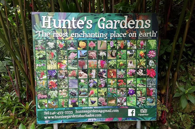 Hunte's Gardens - Who will enjoy Hunte’s Gardens most