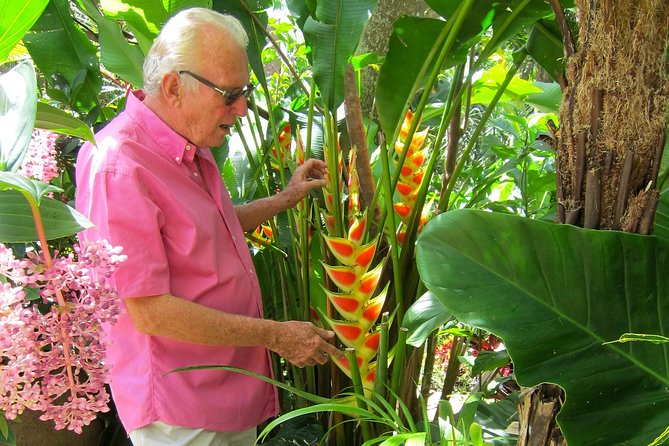 Hunte's Gardens - The ride through central Barbados