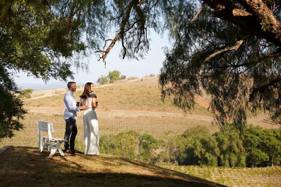 Hunter Valley: Wine Tour with 3 Tastings and Garden Lunch - How the price compares with the day
