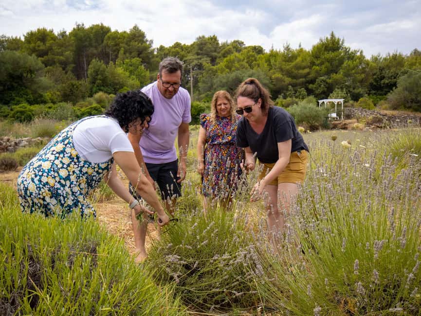 Hvar: Lavender Fields, Honey, and Local Product Tasting - Starting in Hvar Town with a short orientation