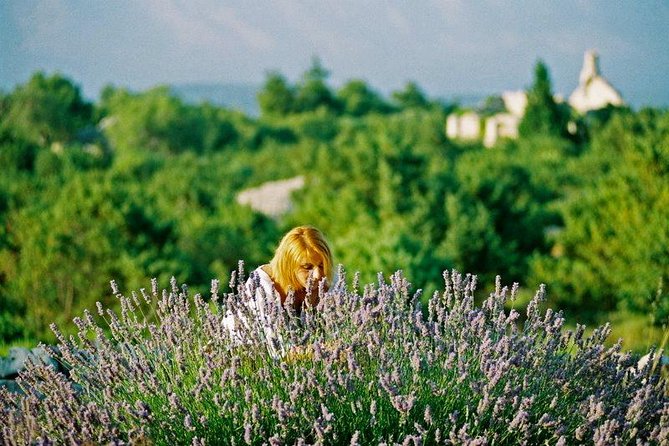 Hvar Lavender Small Group Tour - Velo Grablje and the sweet finish
