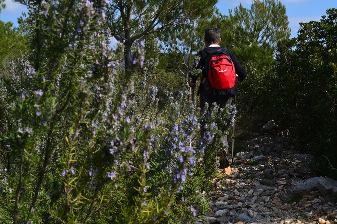 Hvar Lavender Tour - At a glance