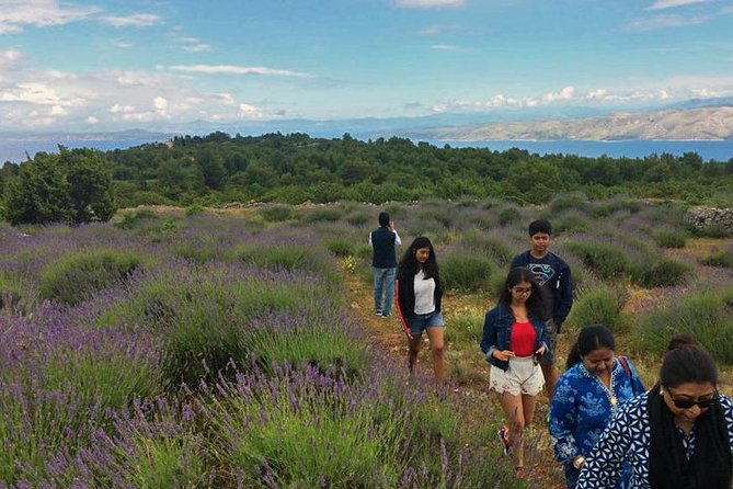 Hvar Lavender Tour - Velo Grablje and the old island way of life