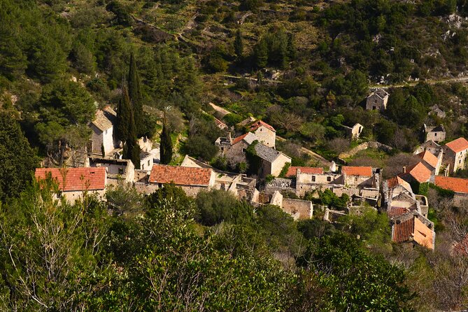 Hvar Lavender Tour - Who should book this experience