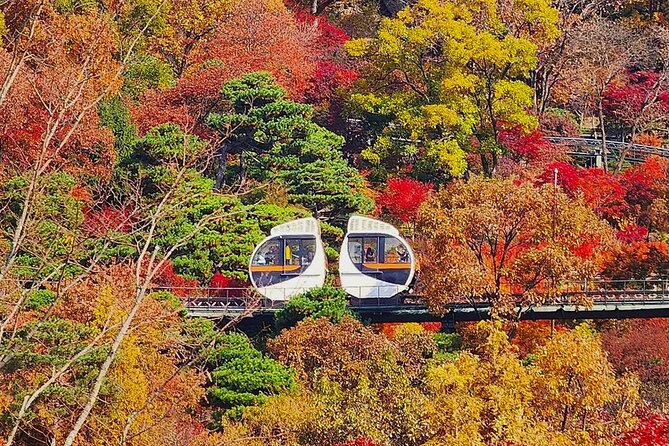 Hwadam Botanic Garden and Namhansanseong and Folk Village Trip - Hwadam Forest: two hours among 4,000 plant species