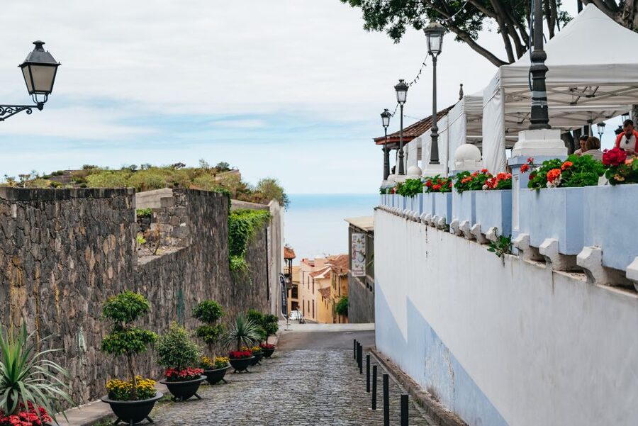 Icod de los Vinos: Dragon Tree & Botanical Garden Ticket - Should you book this dragon tree visit?