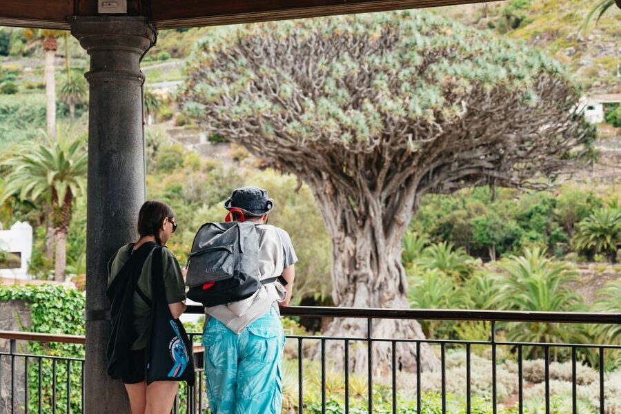 Icod de los Vinos: Dragon Tree & Botanical Garden Ticket - The viewpoint and a practical pause