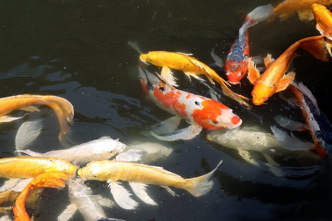 Imperial Palace East Garden and Edo Castle Walking Tour in Tokyo - Small group size and the social side