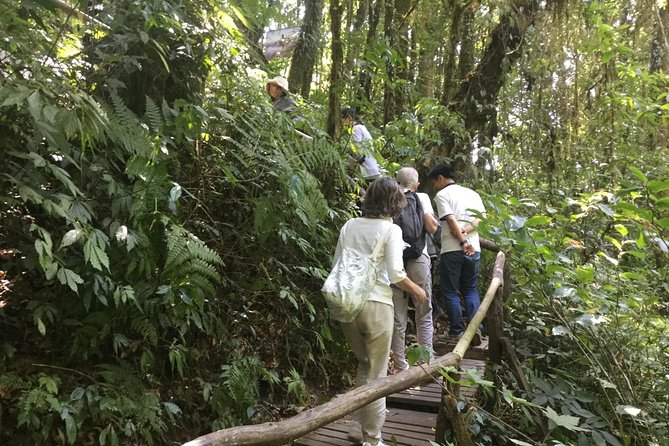 Inthanon Small-Group with Kew Mae Pan Trail from Chiang Mai include Lunch - Guide quality and the small-group question