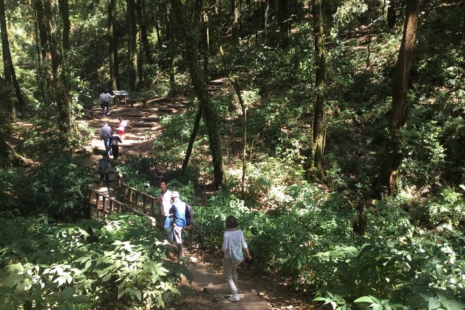 Inthanon Small-Group with Kew Mae Pan Trail from Chiang Mai include Lunch - Wachirathan Waterfall and the first mountain views