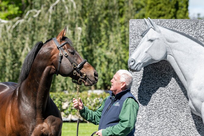 Irish National Stud & Gardens Skip the line Entrance - How much time should you plan?