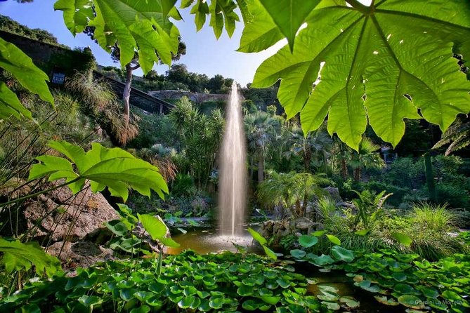 Ischia and La Mortella Gardens - Is the $140.88 price fair?