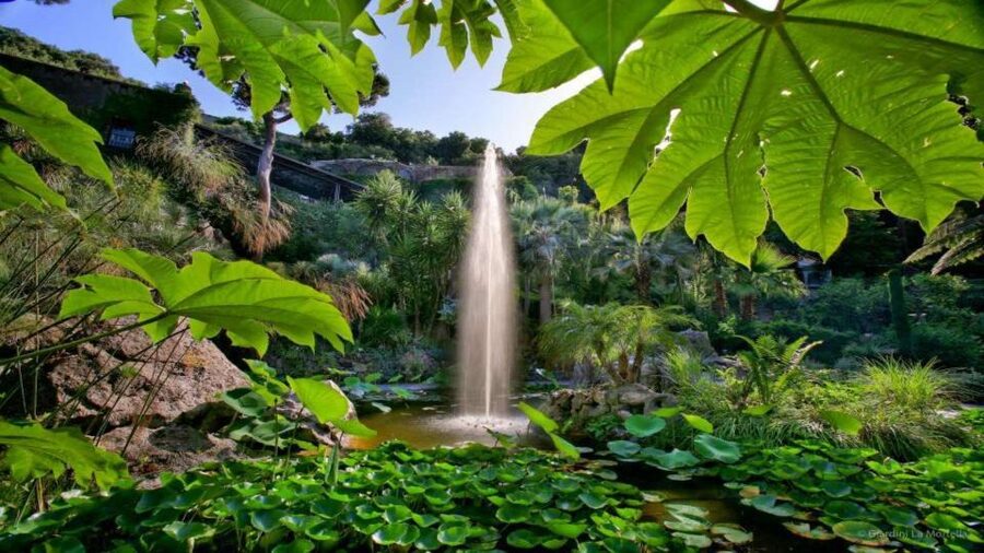 Ischia and Mortella Gardens Full-Day Tour from Sorrento - Key points to know before booking
