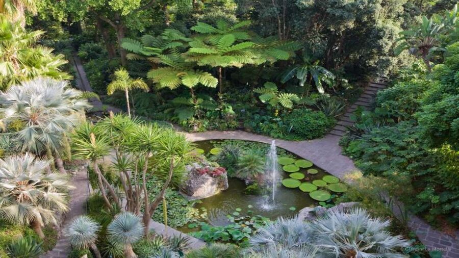 Ischia and Mortella Gardens Full-Day Tour from Sorrento - Why La Mortella is the reason to go