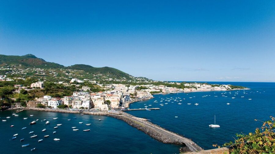 Ischia and Mortella Gardens Full-Day Tour from Sorrento - What the guide adds to the day