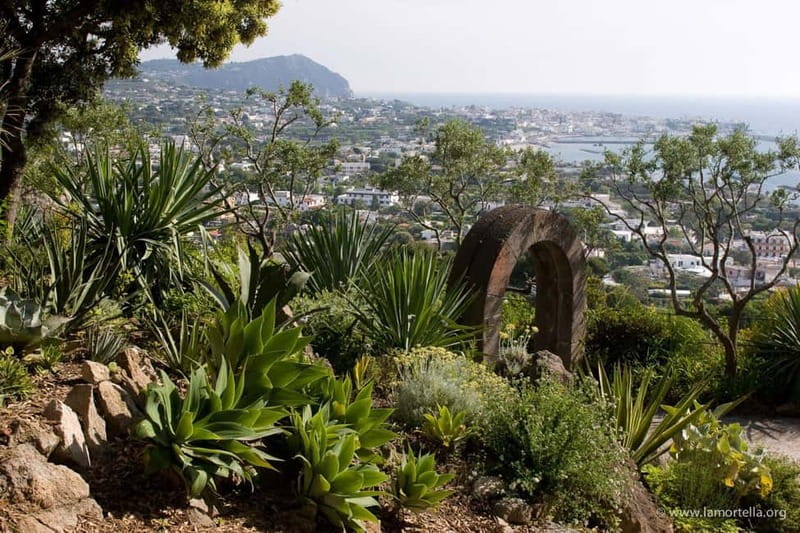 Ischia: La Mortella Gardens Trip with Optional Lunch - Why La Mortella feels different from an ordinary garden