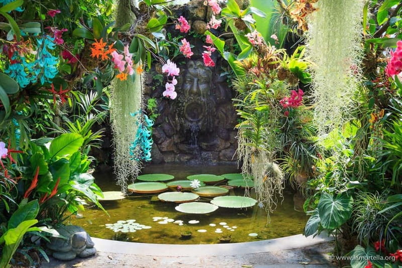 Ischia: La Mortella Gardens Trip with Optional Lunch - Three hours among ponds, fountains, and waterfalls