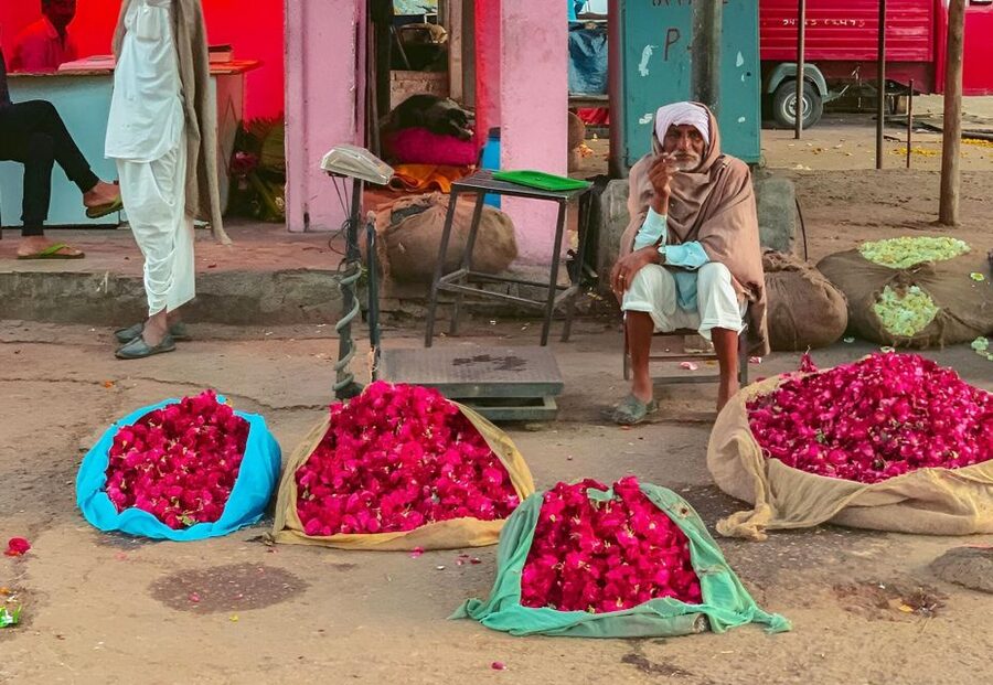 Jaipur: Half-Day Guided Sightseeing Tour with Flower Market - Why the flower market makes this Jaipur tour different