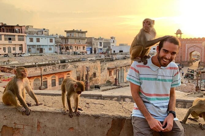 Jaipur Half-Day Tour with Flower Market & Sunset Views - Key points at a glance
