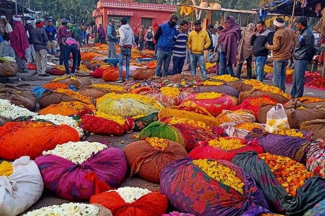 Jaipur Sunrise Tour with Morning Flower Market Walk - Galta Ji, Jaipur’s Monkey Temple