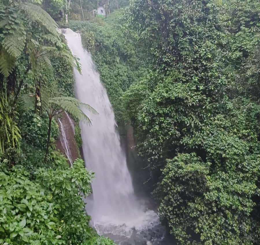Jakarta Bogor Botanical Garden, Waterfall and Rice Terrace - Why this Jakarta escape works