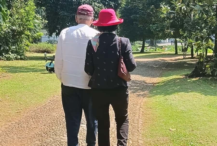 Jakarta Bogor Botanical Garden, Waterfall and Rice Terrace - What the private car and guide add