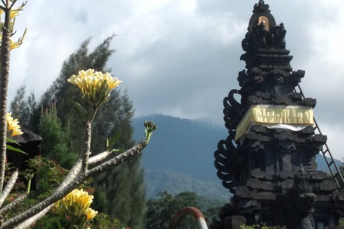 Jakarta Bogor Botanical Garden, Waterfall and Rice terrace, Lunch - Exploring the 84-hectare Bogor Botanical Gardens