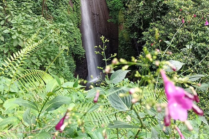 Jakarta Bogor Botanical Garden, Waterfall and Rice terrace, Lunch - Meeting a Sundanese wayang golek maker