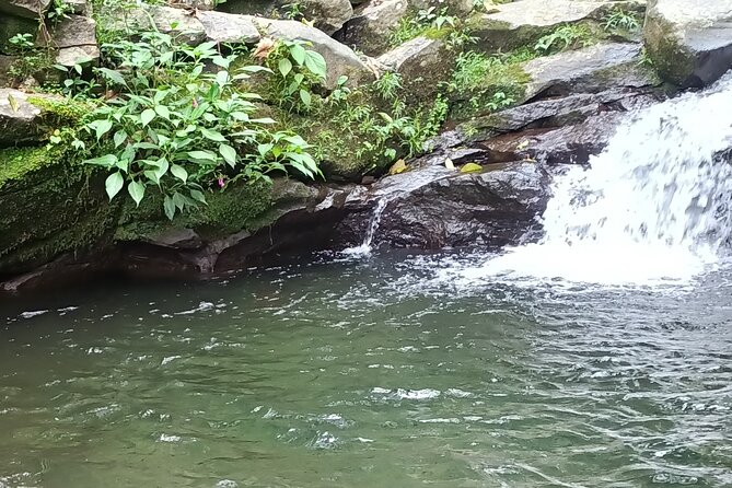 Jakarta Bogor Botanical Garden, Waterfall and Rice terrace, Lunch - Reaching Nangka Waterfall on foot