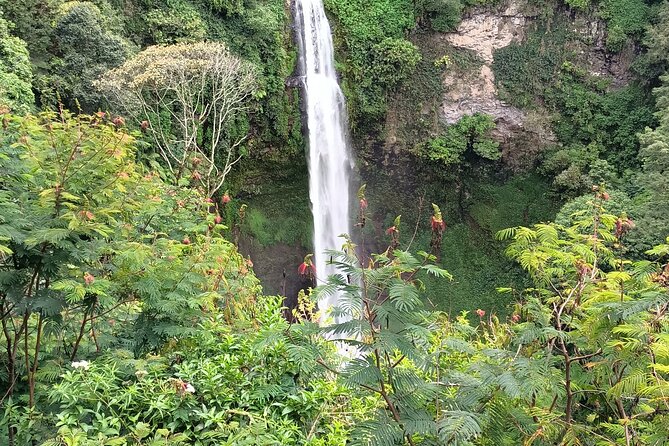Jakarta Bogor Botanical Garden, Waterfall and Rice terrace, Lunch - Lunch with Salak Mountain and Sundanese flavors